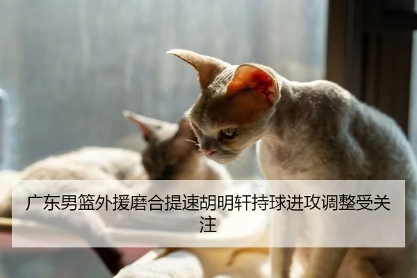 广东男篮外援磨合提速胡明轩持球进攻调整受关注